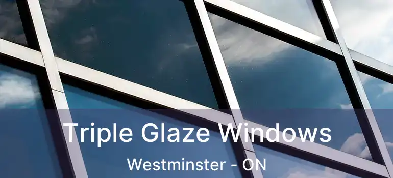  Triple Glaze Windows Westminster - ON