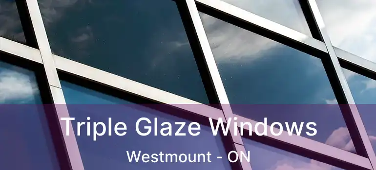  Triple Glaze Windows Westmount - ON