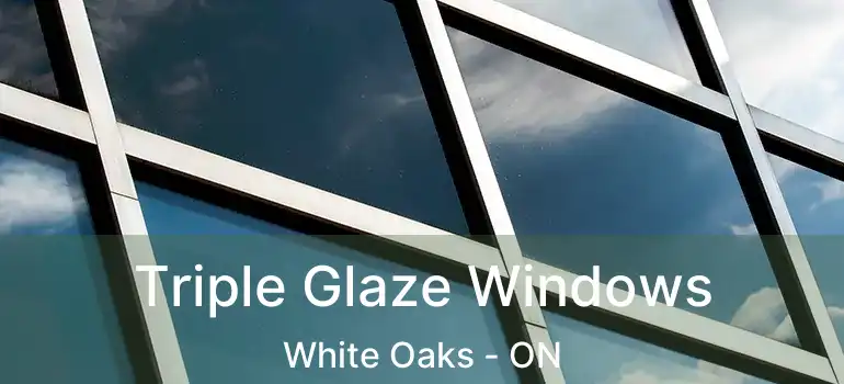  Triple Glaze Windows White Oaks - ON