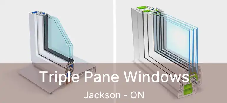  Triple Pane Windows Jackson - ON