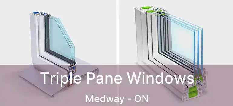  Triple Pane Windows Medway - ON