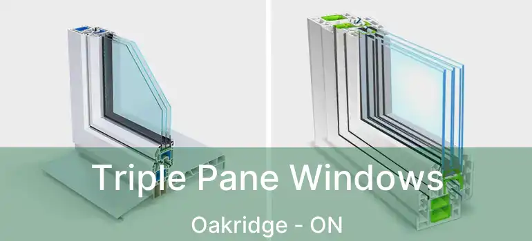  Triple Pane Windows Oakridge - ON