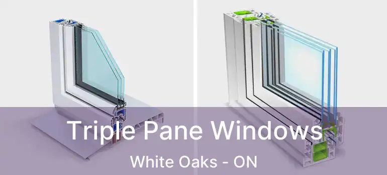  Triple Pane Windows White Oaks - ON
