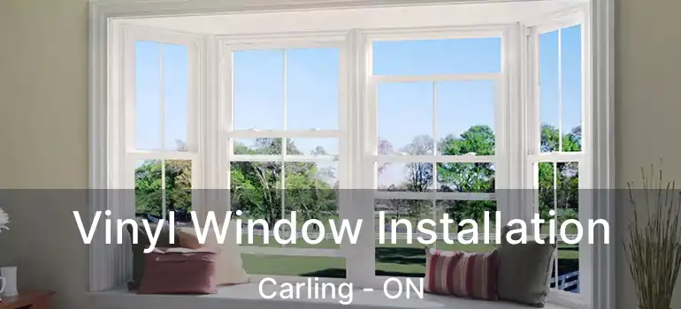  Vinyl Window Installation Carling - ON
