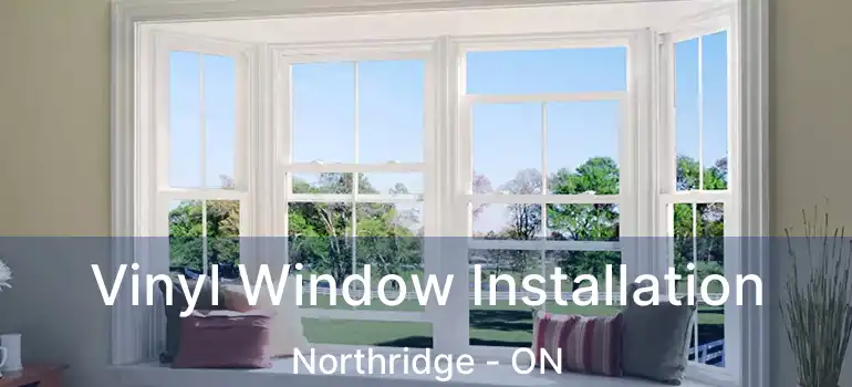  Vinyl Window Installation Northridge - ON
