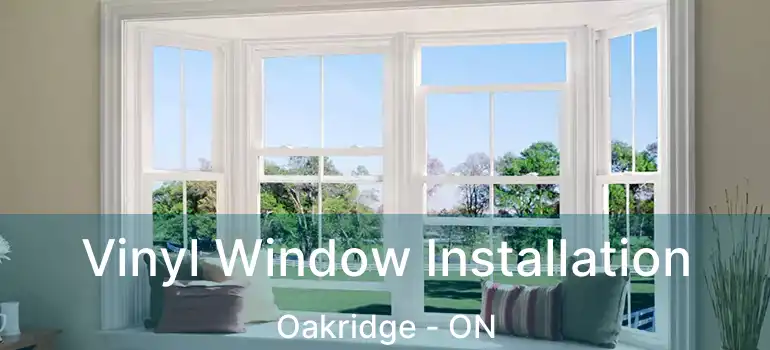  Vinyl Window Installation Oakridge - ON