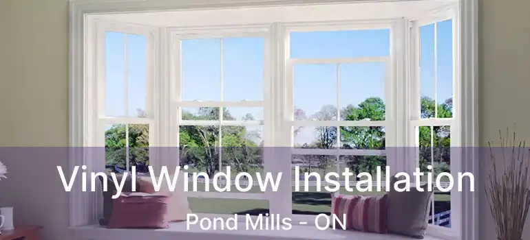  Vinyl Window Installation Pond Mills - ON