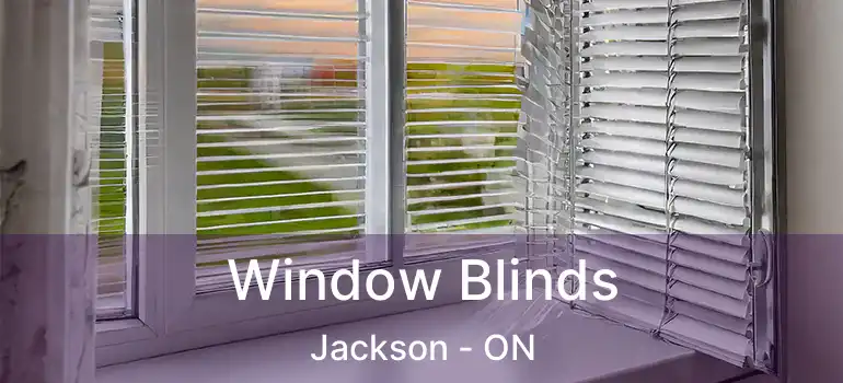  Window Blinds Jackson - ON