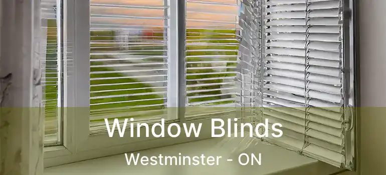  Window Blinds Westminster - ON
