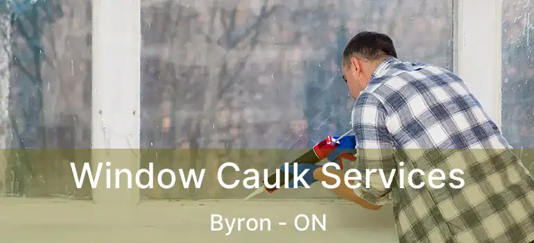  Window Caulk Services Byron - ON