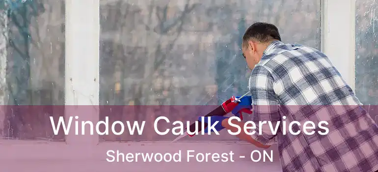  Window Caulk Services Sherwood Forest - ON