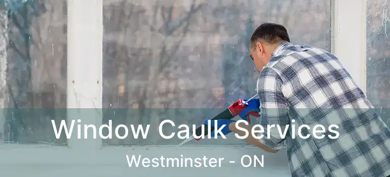  Window Caulk Services Westminster - ON