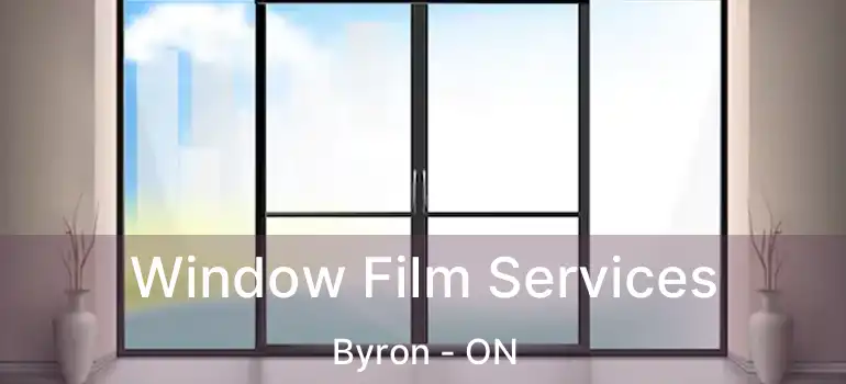  Window Film Services Byron - ON