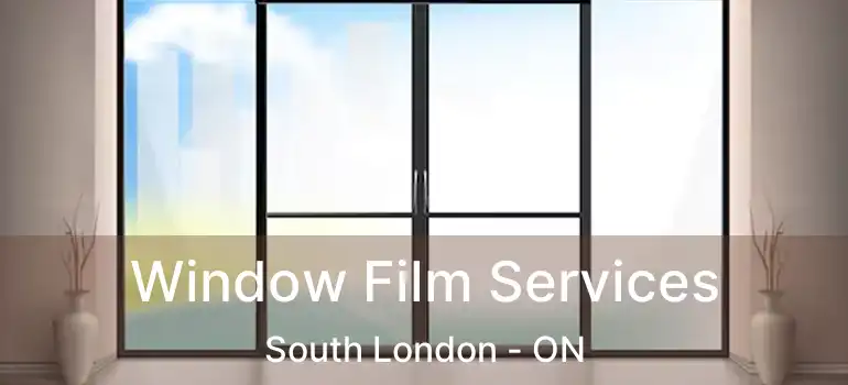  Window Film Services South London - ON