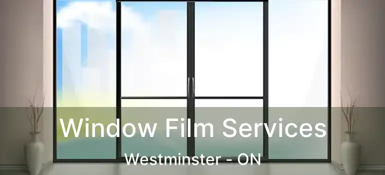  Window Film Services Westminster - ON