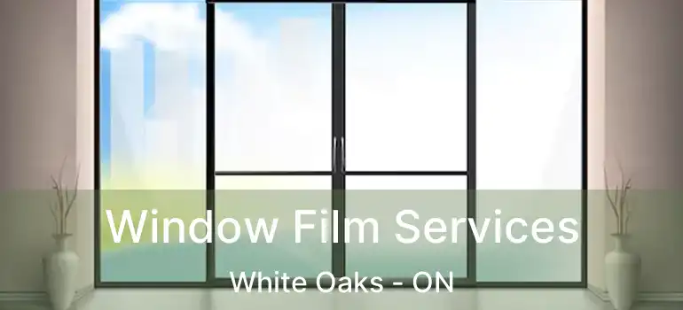  Window Film Services White Oaks - ON