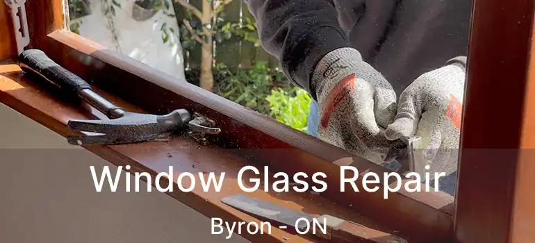  Window Glass Repair Byron - ON