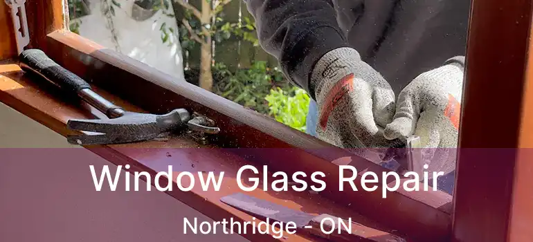  Window Glass Repair Northridge - ON