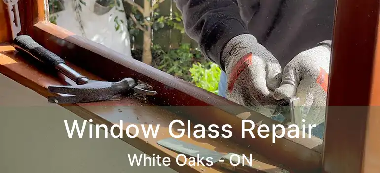 Window Glass Repair White Oaks - ON