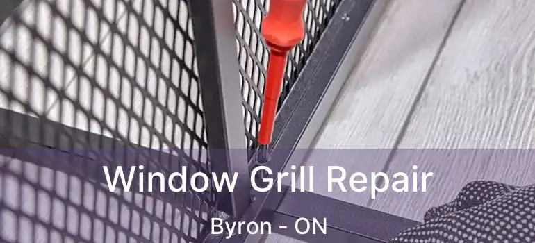  Window Grill Repair Byron - ON