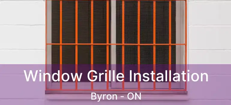  Window Grille Installation Byron - ON