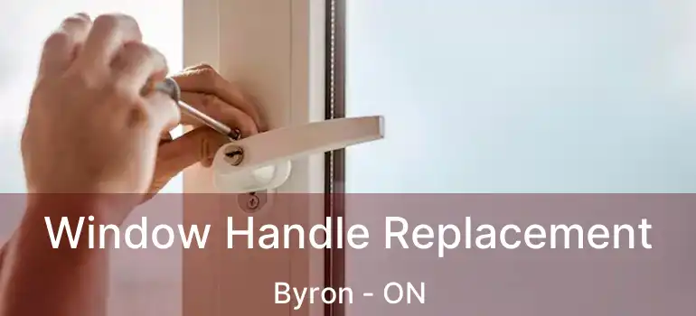  Window Handle Replacement Byron - ON