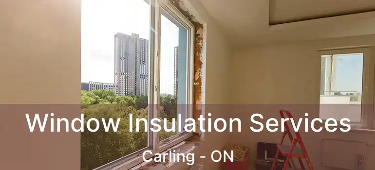  Window Insulation Services Carling - ON