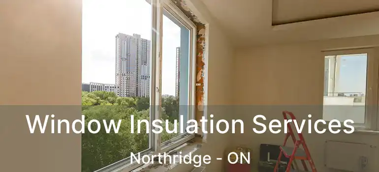  Window Insulation Services Northridge - ON