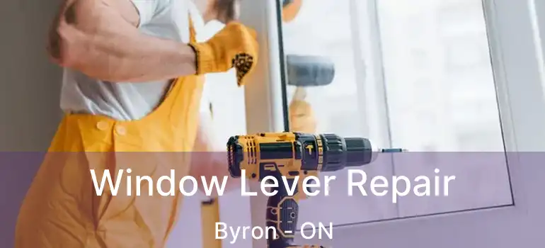  Window Lever Repair Byron - ON