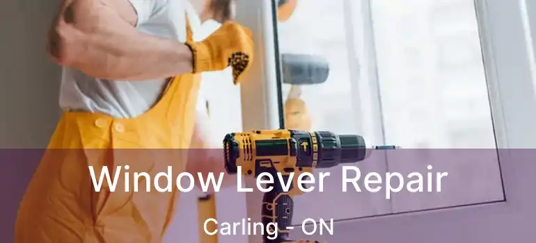  Window Lever Repair Carling - ON