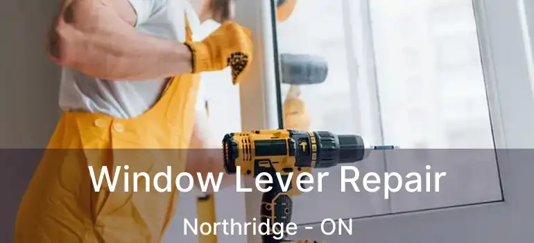  Window Lever Repair Northridge - ON