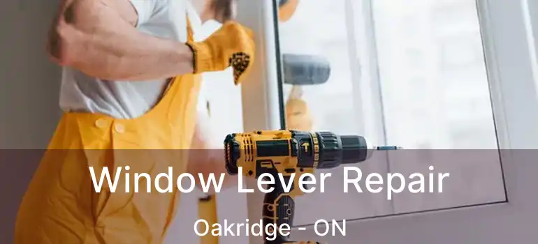  Window Lever Repair Oakridge - ON