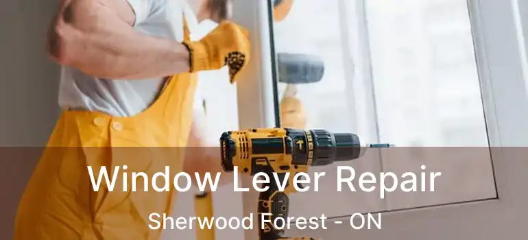  Window Lever Repair Sherwood Forest - ON