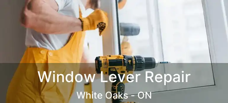  Window Lever Repair White Oaks - ON