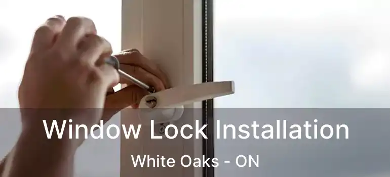  Window Lock Installation White Oaks - ON