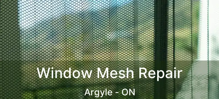  Window Mesh Repair Argyle - ON