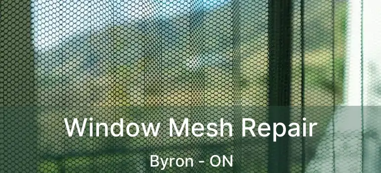  Window Mesh Repair Byron - ON