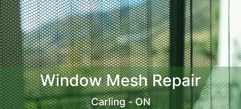  Window Mesh Repair Carling - ON