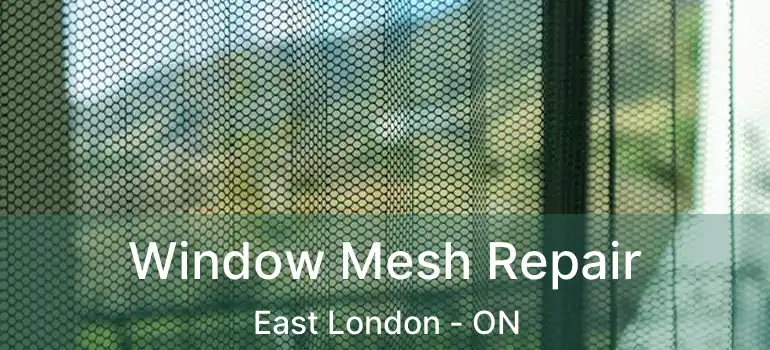  Window Mesh Repair East London - ON
