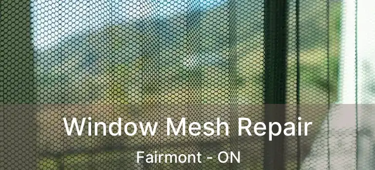  Window Mesh Repair Fairmont - ON