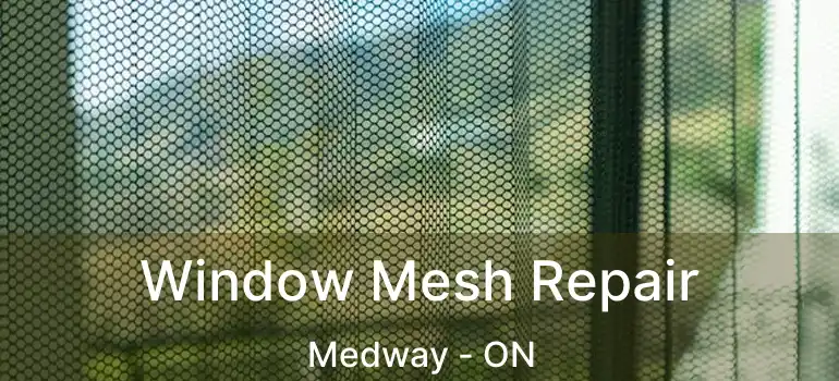  Window Mesh Repair Medway - ON