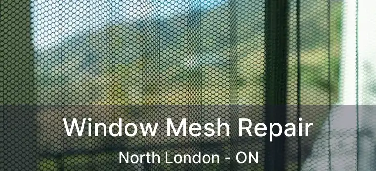  Window Mesh Repair North London - ON