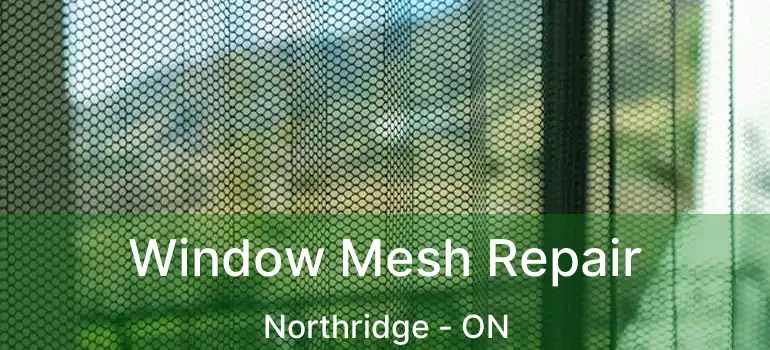  Window Mesh Repair Northridge - ON