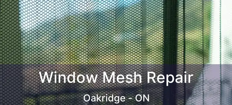  Window Mesh Repair Oakridge - ON