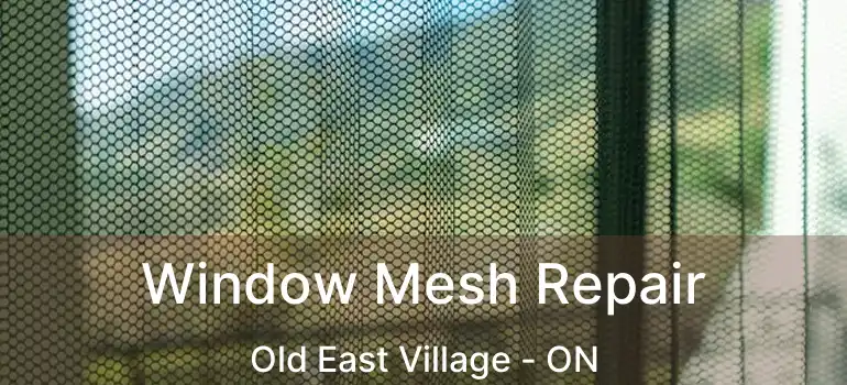  Window Mesh Repair Old East Village - ON