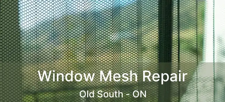  Window Mesh Repair Old South - ON