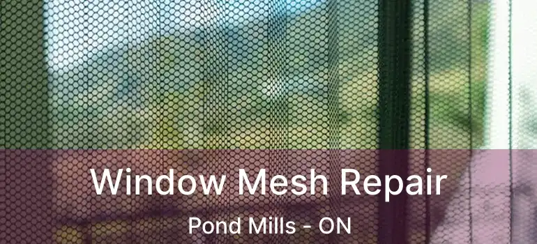  Window Mesh Repair Pond Mills - ON