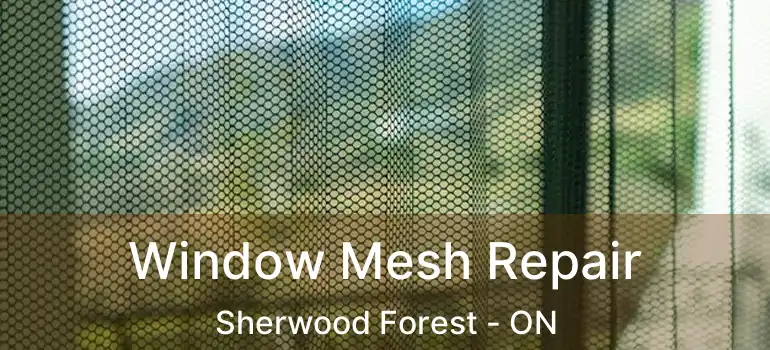  Window Mesh Repair Sherwood Forest - ON