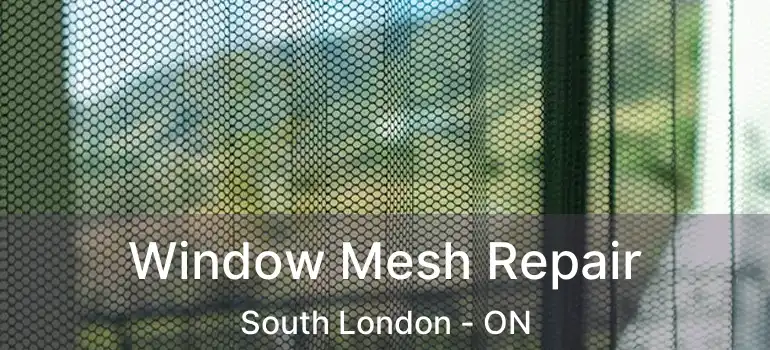  Window Mesh Repair South London - ON