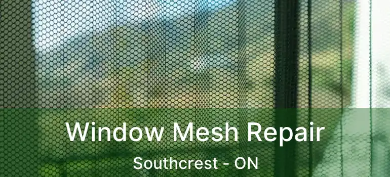  Window Mesh Repair Southcrest - ON